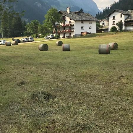 Flora Alpina Apartments-Residenza Verdebjo Gressoney-Saint-Jean Εξωτερικό φωτογραφία