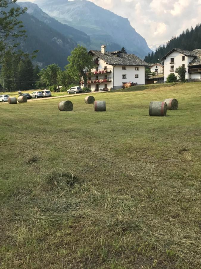 Flora Alpina Apartments-Residenza Verdebjo Gressoney-Saint-Jean Εξωτερικό φωτογραφία