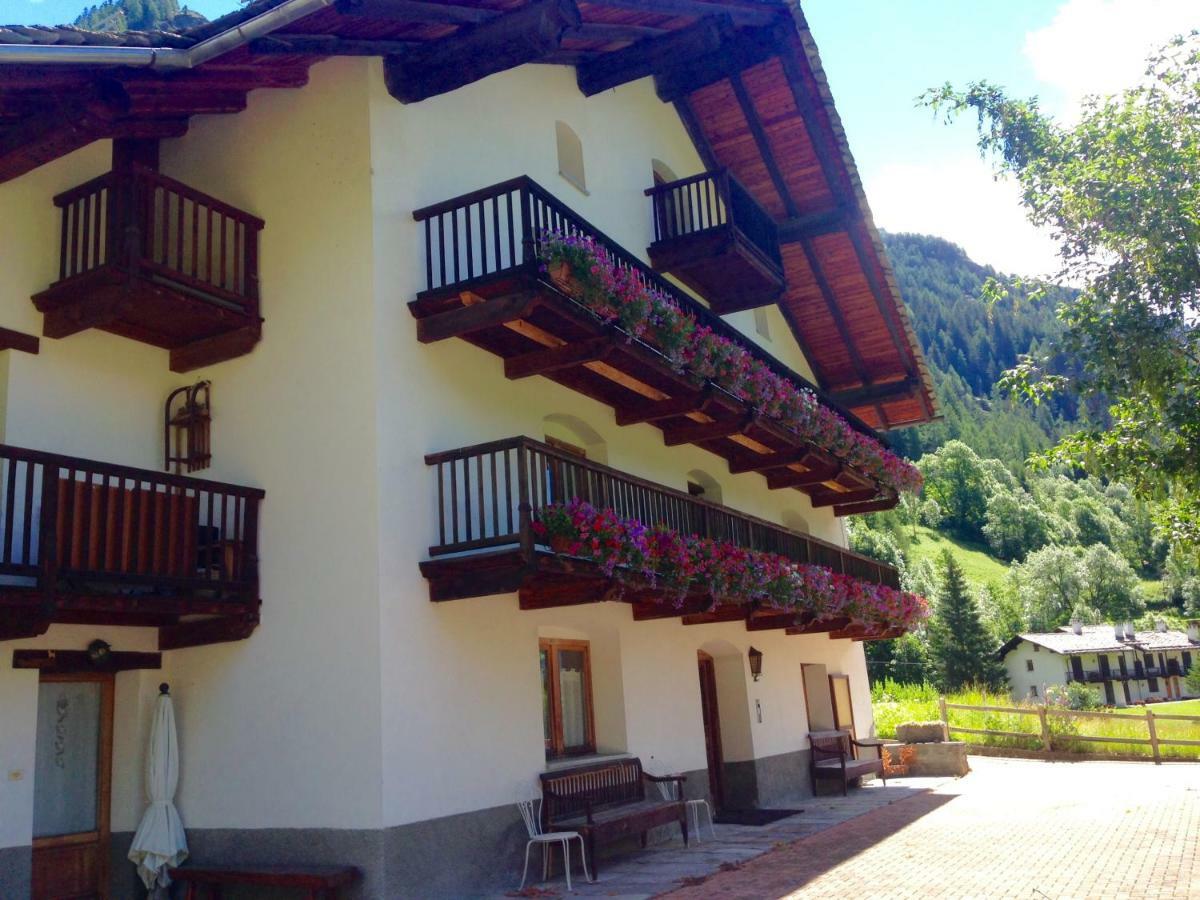 Flora Alpina Apartments-Residenza Verdebjo Gressoney-Saint-Jean Εξωτερικό φωτογραφία