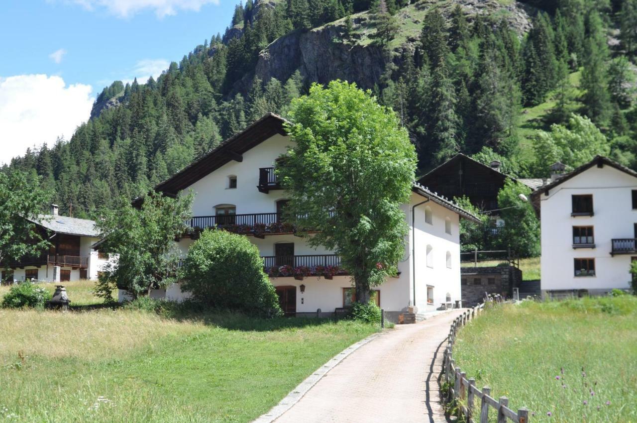 Flora Alpina Apartments-Residenza Verdebjo Gressoney-Saint-Jean Εξωτερικό φωτογραφία