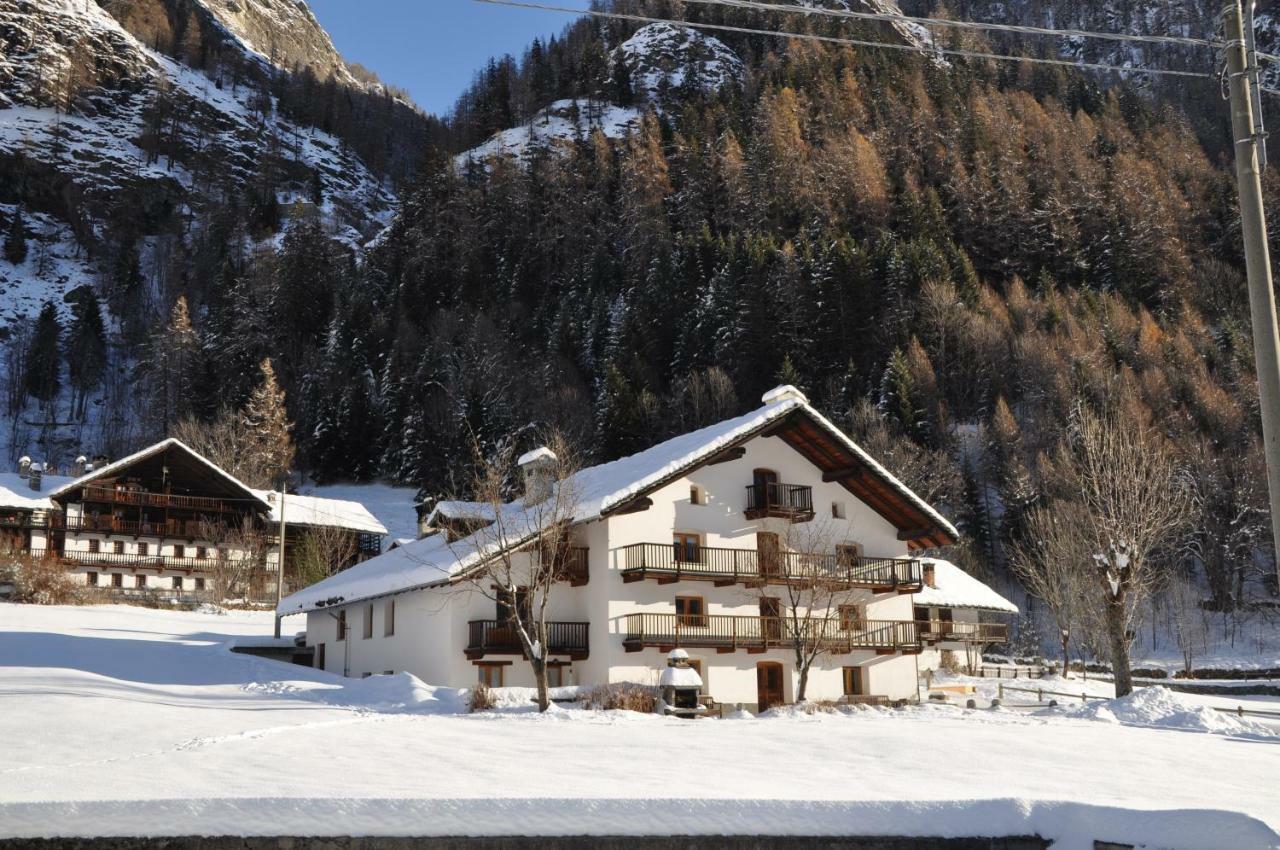 Flora Alpina Apartments-Residenza Verdebjo Gressoney-Saint-Jean Εξωτερικό φωτογραφία
