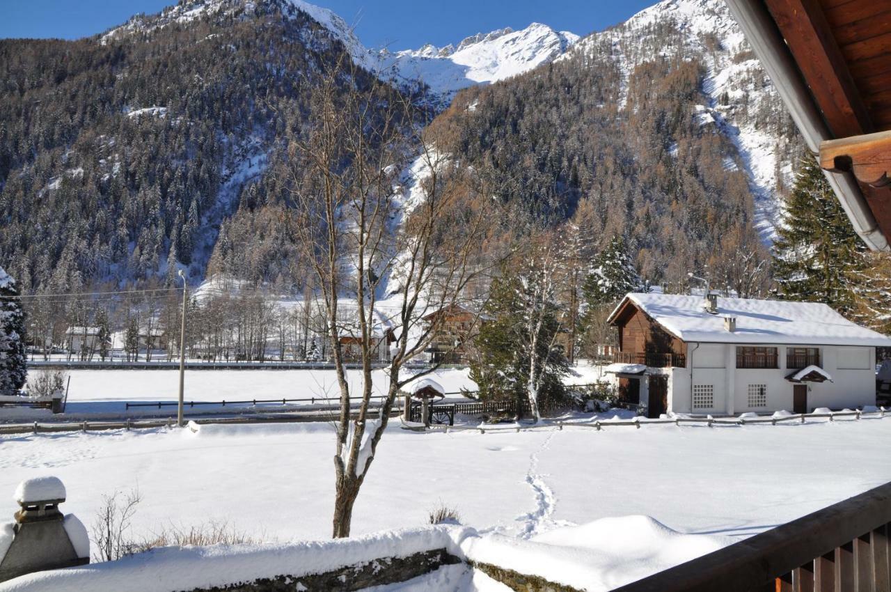 Flora Alpina Apartments-Residenza Verdebjo Gressoney-Saint-Jean Εξωτερικό φωτογραφία
